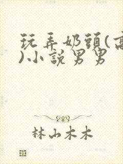 玩弄奶头(高h)小说男男