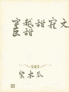 穿越甜宠文推荐巨甜
