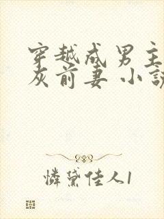 穿越成男主的炮灰前妻 小说