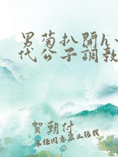 男菊扒开h～古代公子调教