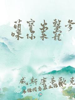 萌宝出击爹地妈咪你来宠