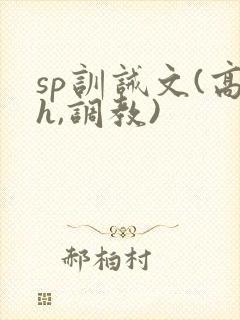 sp训诫文(高h,调教)