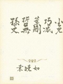 孙哲叶巧小说全文无删减免费阅读