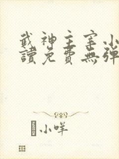 武神主宰小说阅读免费无弹窗