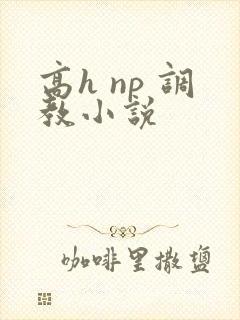 高h np 调教小说
