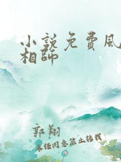 小说免费风水大相师