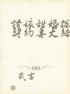 错嫁甜婚总裁的契约妻大结局