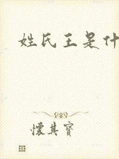 姓氏王是什么王