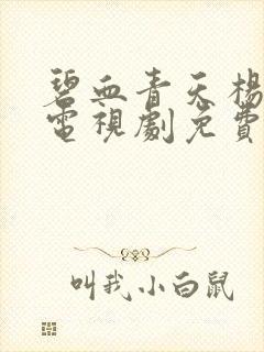 碧血青天杨家将电视剧免费观看全集在线播放