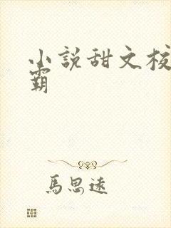 小说甜文校园校霸