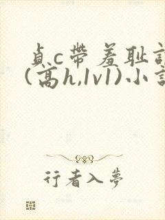 贞c带羞耻调教(高h,1v1)小说