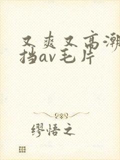 又爽又高潮无遮挡av毛片