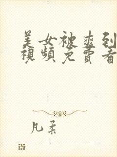 美女被爽到高潮视频免费看