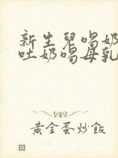 新生儿喝奶粉不吐奶喝母乳吐奶