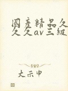 国产精品久久久久久av三级