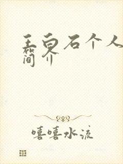 王白石个人资料简介