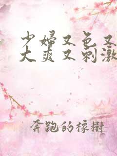 少妇又色又紧又大爽又刺激