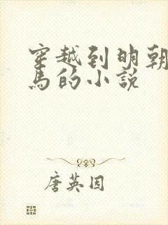 穿越到明朝当驸马的小说