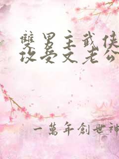 双男主武侠小说攻受文老公是女主