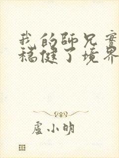 我的师兄实在太稳健了境界划分