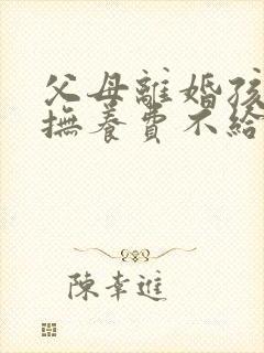 父母离婚孩子的抚养费不给怎么办