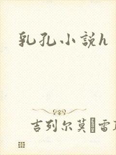 乳孔小说h