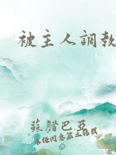 被主人调教小说