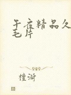 午夜精品久久久毛片