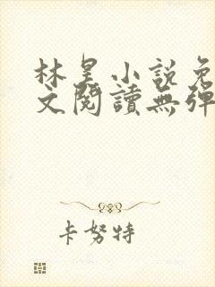 林昊小说免费全文阅读无弹窗