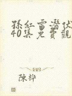 孙红雷潜伏完整40集免费观看