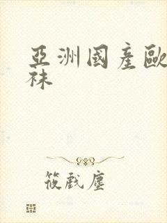 亚洲国产欧美丝袜