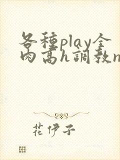 各种play全肉高h调教np