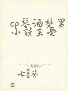 cp琴酒双男主小说主受