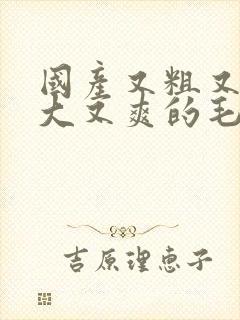 国产又粗又长又大又爽的毛片