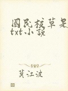 国民校草是女生txt小说