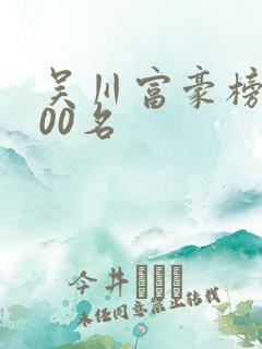 吴川富豪榜前100名