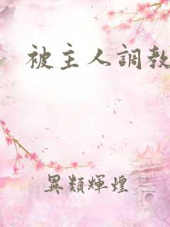 被主人调教的
