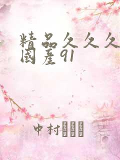 精品久久久久久国产91