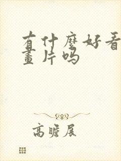 有什么好看的动画片吗