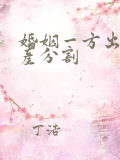 婚姻一方出轨财产分割