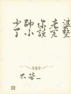 少帅你老婆又跑了小说完整免费