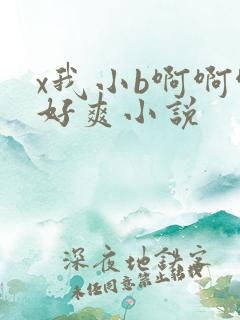 x我小b啊啊啊好爽小说