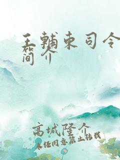 王辅东司令资料简介