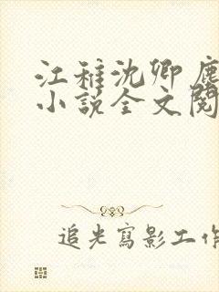 江稚沈卿尘免费小说全文阅读