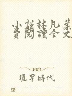 小说林凡叶惜免费阅读全文最新章节