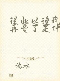 从此以后我不会再爱了是什么歌