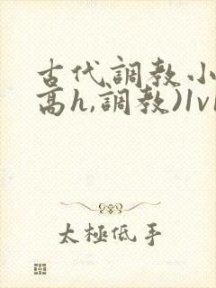 古代调教小说(高h,调教)1v1