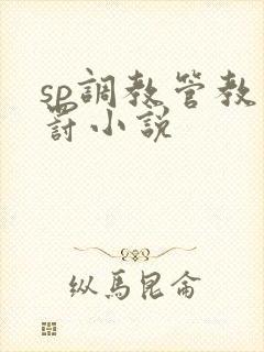 sp调教管教惩罚小说