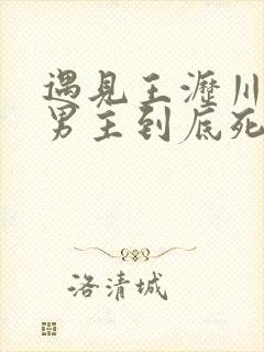 遇见王沥川结局男主到底死没死