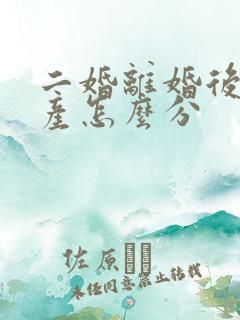 二婚离婚后的财产怎么分